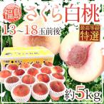  Fukushima префектура производство ~ Sakura белый персик ~ специальный отбор товар 13~18 шар передний и задний (до и после) примерно 5kg производство земля коробка сахар раз 15 раз и больше [ предварительный заказ 9 месяц после ] бесплатная доставка 