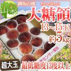 山梨県 最高峰桃 ”大糖領” 超大玉