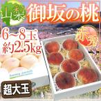 ”山梨県産御坂の桃”赤秀品6〜8玉...