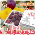 山梨・長野産 ”貴陽プラム” 6〜11玉 約2kg（風袋込） 化粧箱【予約 7月以降】 送料無料