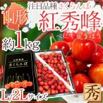 山形産 さくらんぼ ”紅秀峰(べにしゅうほう)” 秀品 大粒 L/2Lサイズ 約1kg【予約 6月末以降】 送料無料