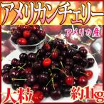 ショッピングアメリカ アメリカ産 ”アメリカンチェリー” 大粒 約1kg【予約 5月下旬以降】 送料無料