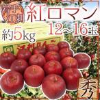  яблоко Iwate .. производство ~. роман яблоко ~ превосходящий товар 12~18 шар примерно 5kg[ предварительный заказ 9 месяц после ] бесплатная доставка 
