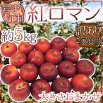  яблоко ~ Iwate .. производство . роман яблоко ~ есть перевод примерно 5kg размер случайный [ предварительный заказ 9 месяц после ] бесплатная доставка 