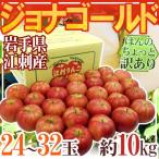  яблоко Iwate префектура .. производство ~jona Gold ~ 24~32 шар примерно 10kg... немного есть перевод [ предварительный заказ 10 месяц последняя декада после ] бесплатная доставка 