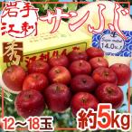  яблоко Iwate .. производство ~ меласса ввод солнечный ..~ превосходящий товар 12~18 шар примерно 5kg[ предварительный заказ 11 конец месяца после ] бесплатная доставка 