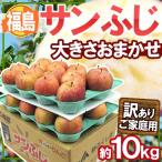  яблоко Fukushima производство ~ меласса ввод солнечный ..~ есть перевод размер случайный примерно 10kg[ предварительный заказ 11 месяц последняя декада после ] бесплатная доставка 