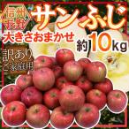  яблоко Nagano производство ~ меласса ввод солнечный ..~ примерно 10kg есть перевод размер случайный [ предварительный заказ 11 месяц последняя декада после ] бесплатная доставка 
