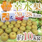 石川県 金沢産 ”幸水梨” 秀品 20〜28玉前後 約10kg【予約 8月末以降】 送料無料