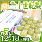  Tottori производство ~ 2 10 век груша ~ большой шар 12~18 шар примерно 5kg производство земля коробка [ предварительный заказ 8 конец месяца после ] бесплатная доставка 