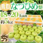 鳥取産 ”なつひめ梨” 秀品 小玉18〜20玉前後 約5kg【予約 8月末以降】 送料無料