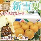 ショッピング梨 鳥取県 ”新雪梨” 訳あり 風袋込約7〜8kg 大きさおまかせ【予約 12月中旬以降】 送料無料