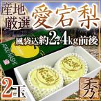 ショッピング梨 ”愛宕梨” 秀品 超大玉2玉 約2.4kg前後（風袋込）産地厳選 あたご梨【予約 11月末以降】 送料無料