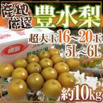 ”豊水梨” 秀品 超大玉5L〜6L 16〜20玉 約10kg 産地厳選【予約 8月中下旬以降】 送料無料