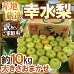 ”幸水梨” 訳あり 約10kg 大きさおまかせ 産地厳選【予約 8月以降】 送料無料