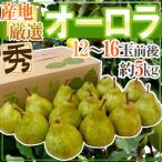 ”オーロラ” 秀品 12〜16玉前後 約5kg 産地厳選 洋梨【予約 9月以降】 送料無料