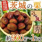 Yahoo! Yahoo!ショッピング(ヤフー ショッピング)”茨城の和栗” 秀品 大粒2L〜3Lサイズ 約900g〜1kg【予約 9月下旬以降】 送料無料