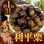 ”利平栗”秀品超大粒3L約1kg熊...
