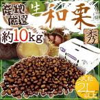 Yahoo! Yahoo!ショッピング(ヤフー ショッピング)”国産和栗” 秀品 大粒2Lサイズ以上 約10kg 産地厳選 生栗【予約 9月下旬以降】 送料無料