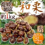 Yahoo! Yahoo!ショッピング(ヤフー ショッピング)”国産和栗” 秀品 超大粒3Lサイズ以上 約1kg 産地厳選 生栗【予約 9月下旬以降】 送料無料