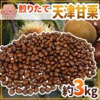 【送料無料】焼きたて・炒りたてを当日発送! ”天津甘栗” 約3kg こだわり産地限定!採れたて新栗♪【予約 10月中旬以降】
