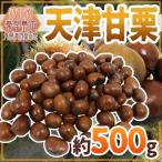 ”天津甘栗” 約500g【ポスト投函送料無料】【予約 10月末以降】