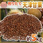 【送料無料】焼きたて・炒りたてを当日発送! ”天津甘栗” 約5kg こだわり産地限定!採れたて新栗♪【予約 10月中旬以降】
