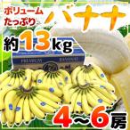 【緊急スポット】【送料無料】”バナナ” 4〜6房入り 約13kg【2週間以内の発送】