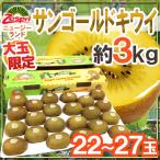 ゼスプリ ”サンゴールドキウイ” 22〜27玉 約3kg【予約 4月下旬以降】 送料無料