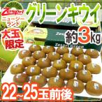 ゼスプリ ”グリーンキウイ” 22～25玉前後 約3kg【予約 4月下旬以降】 送料無料