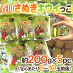  Kagawa префектура ~... киви ..~ примерно 200g×{5pc}(1pc на 6~11 шар передний и задний (до и после) )[ предварительный заказ 11 месяц после ] бесплатная доставка 