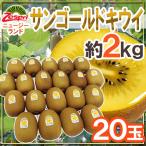 ショッピング果物 ゼスプリ ニュージーランド ”サンゴールドキウイ” 20玉 約2kg【予約 4月下旬以降】 送料無料