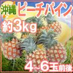 ~ Okinawa производство pi-chi сосна ~ 4~6 шар передний и задний (до и после) примерно 3kg[ предварительный заказ 3 месяц последняя декада после ] бесплатная доставка 