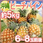 ~ Okinawa производство pi-chi сосна ~ 6~8 шар передний и задний (до и после) примерно 5kg[ предварительный заказ 3 месяц последняя декада после ] бесплатная доставка 