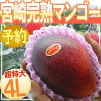 ”宮崎完熟マンゴー” 秀品 4Lサイズ限定《3玉購入で送料無料！4玉購入で1玉おまけ》 宮崎マンゴー【予約 5月下旬以降】