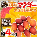 ”宮崎マンゴー” 訳あり 8〜16玉前後 約4kg【予約 5月下旬〜6月以降】 送料無料