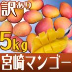 ”宮崎マンゴー” 訳あり 10〜20玉前後 約5kg【予約 5月下旬〜6月以降】 送料無料