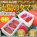 ショッピング送料 宮崎完熟マンゴー ”太陽のタマゴ” 2L3玉もしくは3L2玉入り 化粧箱【予約 4月以降】 送料無料