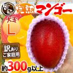 ”宮崎完熟マンゴー” 訳あり 1玉約300g以上 中玉Lサイズ《4玉以上ご購入で送料無料!8玉以上で1玉おまけ》【予約 5月下旬以降】