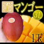 ”宮崎完熟マンゴー” 秀品 3Lサイズ 化粧箱入り 宮崎マンゴー【予約 4月以降】 送料無料