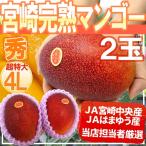 ”宮崎マンゴー” 秀品 超特大玉 4L