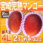 ショッピング1kg ”宮崎完熟マンゴー” 訳あり 超大玉4L 2玉 約1kg以上 宮崎マンゴー【予約 5月下旬以降】 送料無料