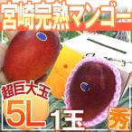 ”宮崎完熟マンゴー ” 秀品 5Lサイ