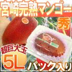 ”宮崎完熟マンゴー” 秀品 5Lサイズ 約650g以上 パック入り 宮崎マンゴー【予約 4月以降】