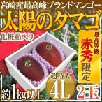 ショッピングマンゴー 宮崎完熟マンゴー ”太陽のタマゴ” 超特大4L 2玉入り 最高等級 赤秀限定【予約 4月以降】 送料無料