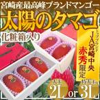 ショッピングマンゴー 宮崎完熟マンゴー ”太陽のタマゴ” JA宮崎中央 大玉2L3玉 or 特大3L2玉 最高等級 赤秀限定【予約 4月以降】 送料無料