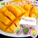 沖縄産 ”キーツマンゴー” 訳あり 2〜6玉前後 約2kg【予約 8月中旬以降】 送料無料