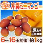 沖縄産 ”ミニミニマンゴー” 訳あり 6〜16玉前後 約1kg パック 沖縄マンゴー【予約 7月以降】 送料無料