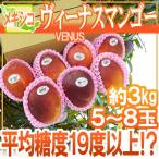 メキシコ産 ”ヴィーナスマンゴー” 大玉5〜8玉 約3kg 航空便 ビーナスマンゴー【予約 5月下旬以降】 送料無料