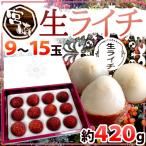 宮崎県産 ”生ライチ” 9～15玉 約420g 化粧箱入り 国産 レイシ 茘枝【予約 5月末以降】 送料無料